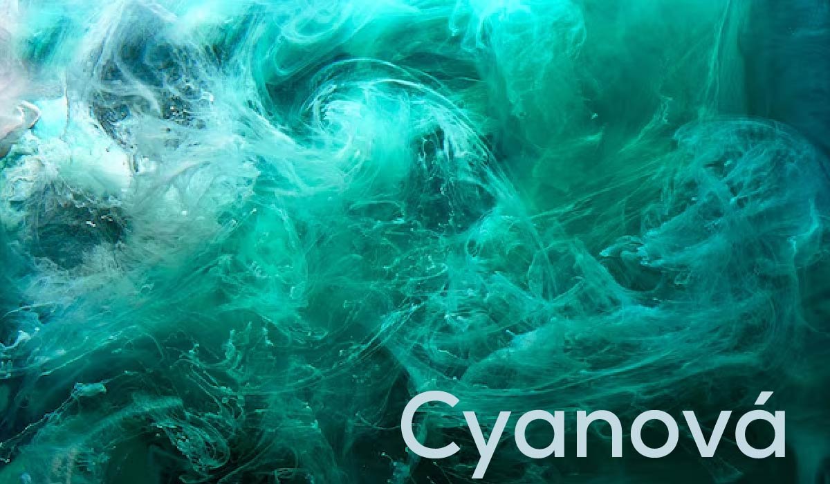 Cyanová